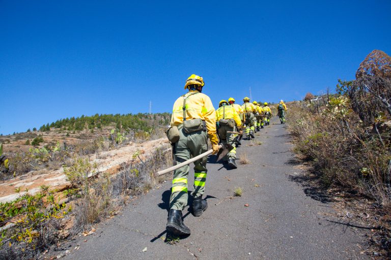 El Cabildo da por controlado el incendio forestal de Granadilla, que ha afectado a unas 380 hectáreas