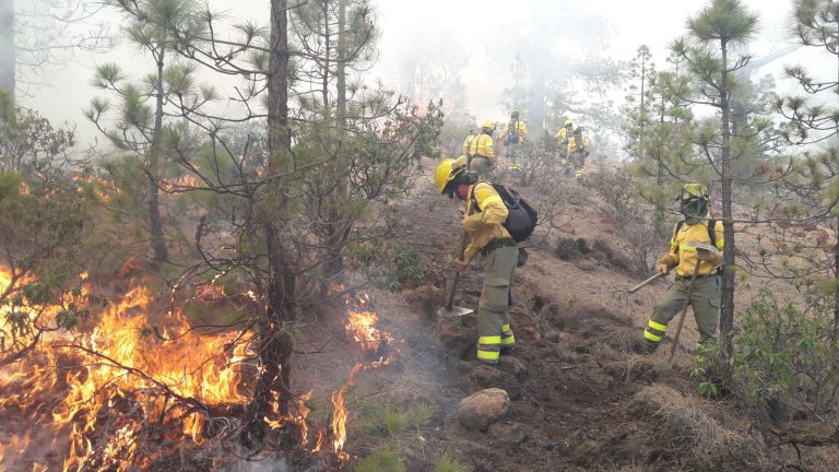 Continúan trabajando para controlar el incendio en Granadilla de Abona