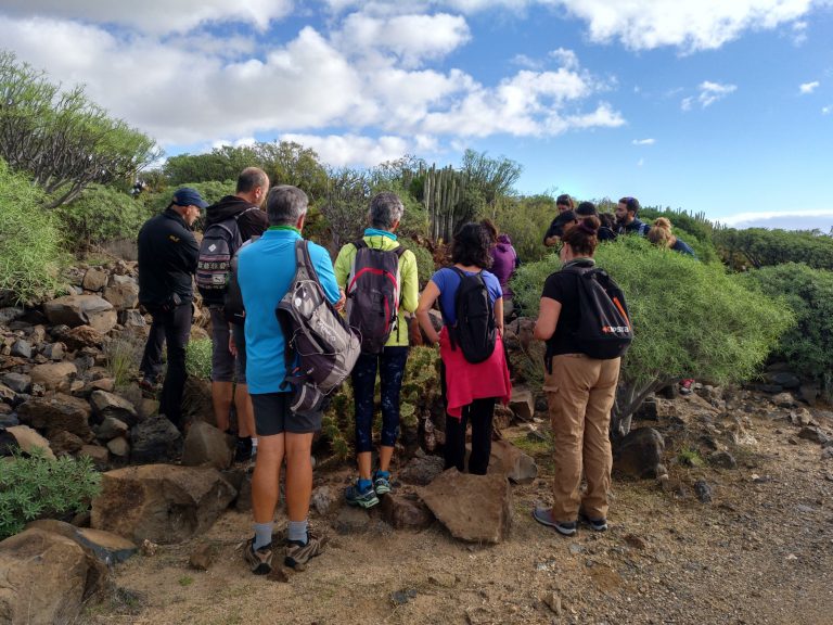 Visita a los grabados rupestres de los Llanos de Ifara con motivo de la I Semana de Patrimonio