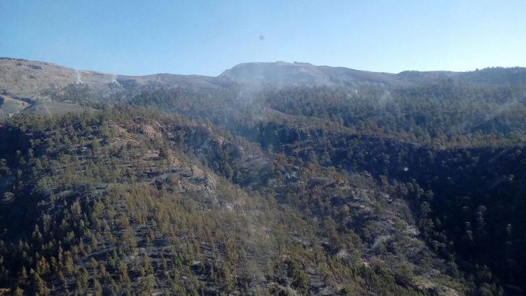 El incendio que afecta al monte de Granadilla de Abona ya está estabilizado