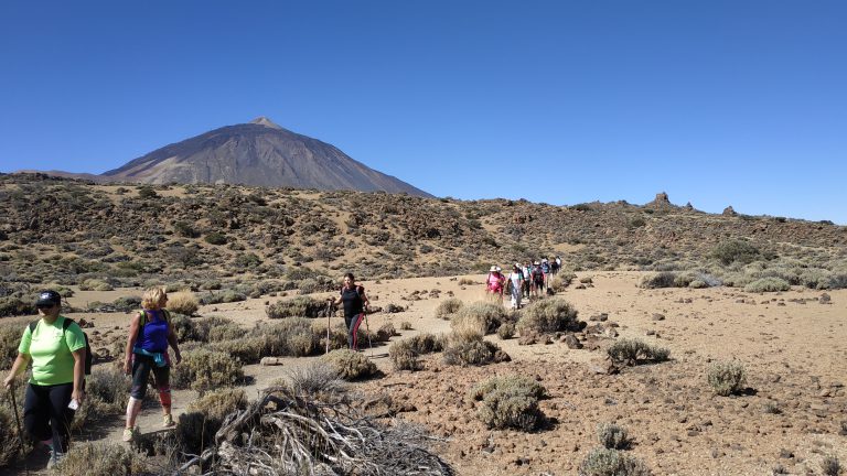 ‘Senderiza-t’ lleva de pateo a 25 granadilleros al Parque Nacional del Teide