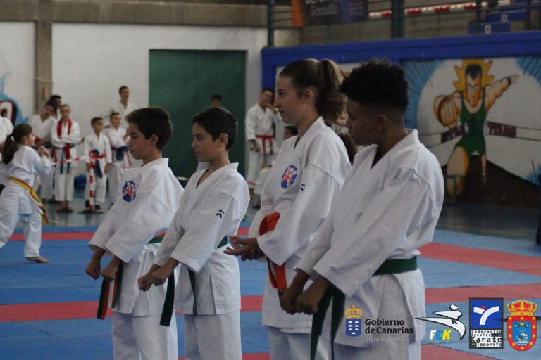 Más de 300 deportistas se dieron cita en el III Trofeo de Kárate Granadilla