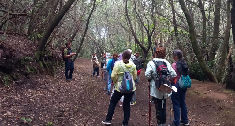 Participación Ciudadana oferta un programa anual de 11 rutas de senderismo por toda la Isla