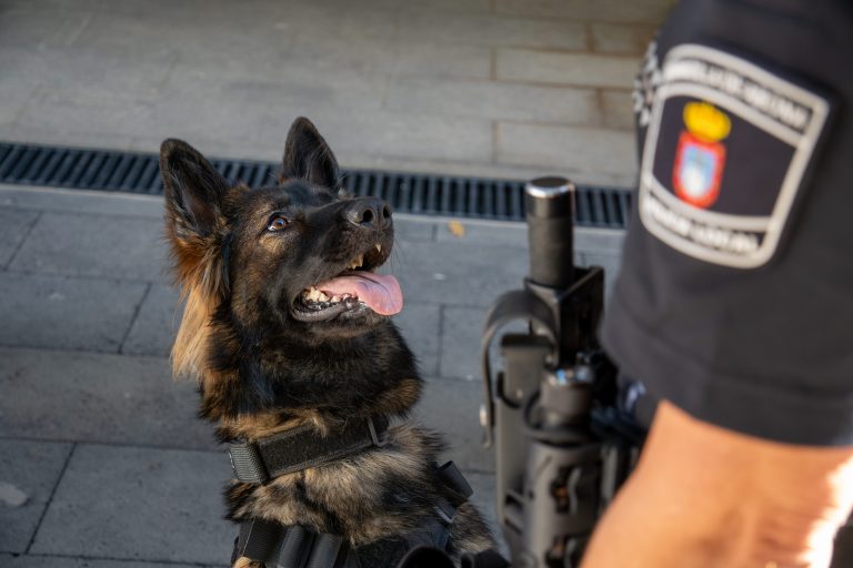 La unidad canina de la Policía Local de Granadilla de Abona levanta más de medio centenar de actas y delitos contra la salud pública