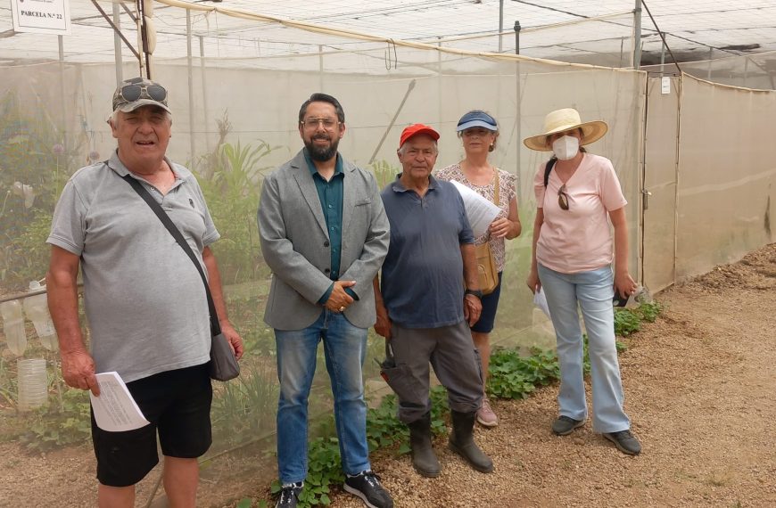 Granadilla de Abona entrega nuevos huertos municipales en Las Crucitas para impulsar el autoconsumo y fortalecer el sector primario